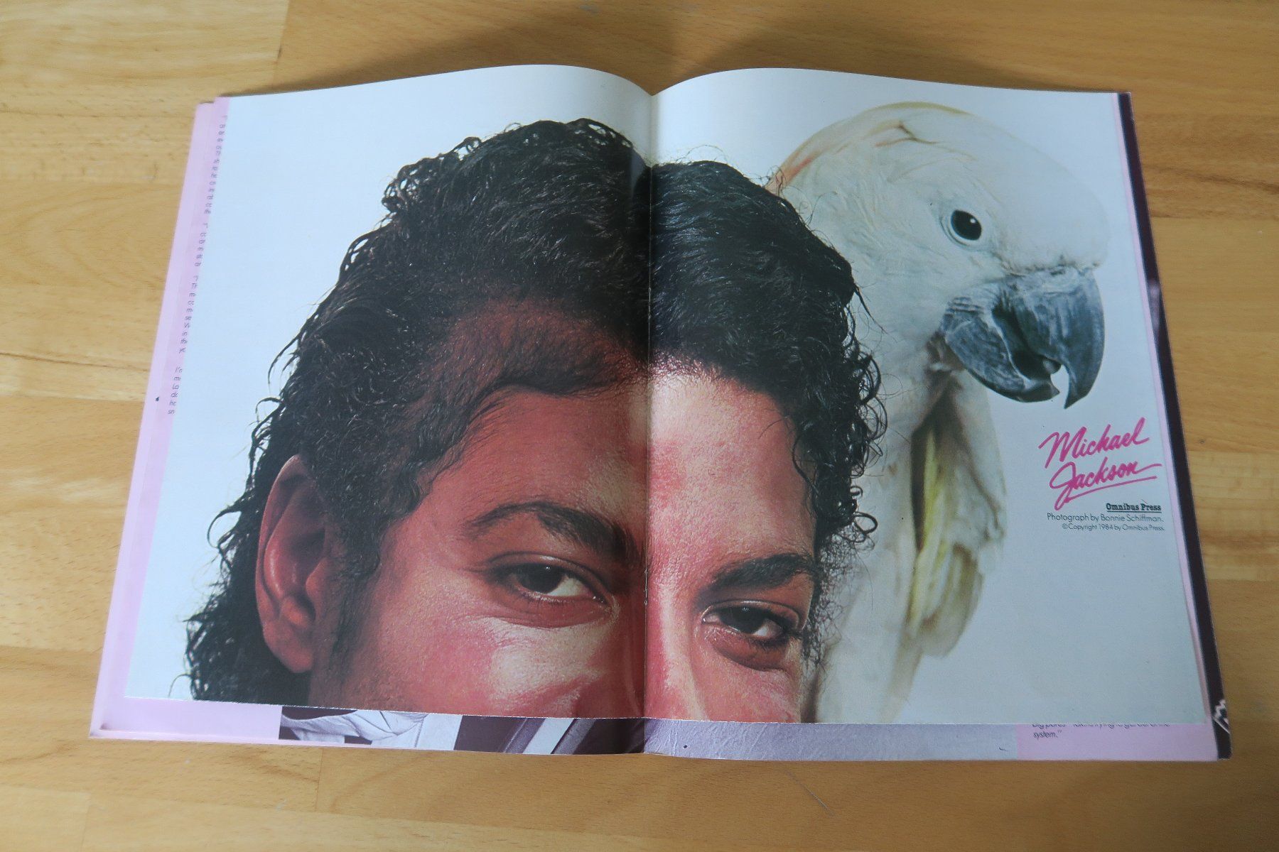Riviste & Magazine: Michael Jackson Magazin (english) – Usato da Thun venduto da Karibu70 2