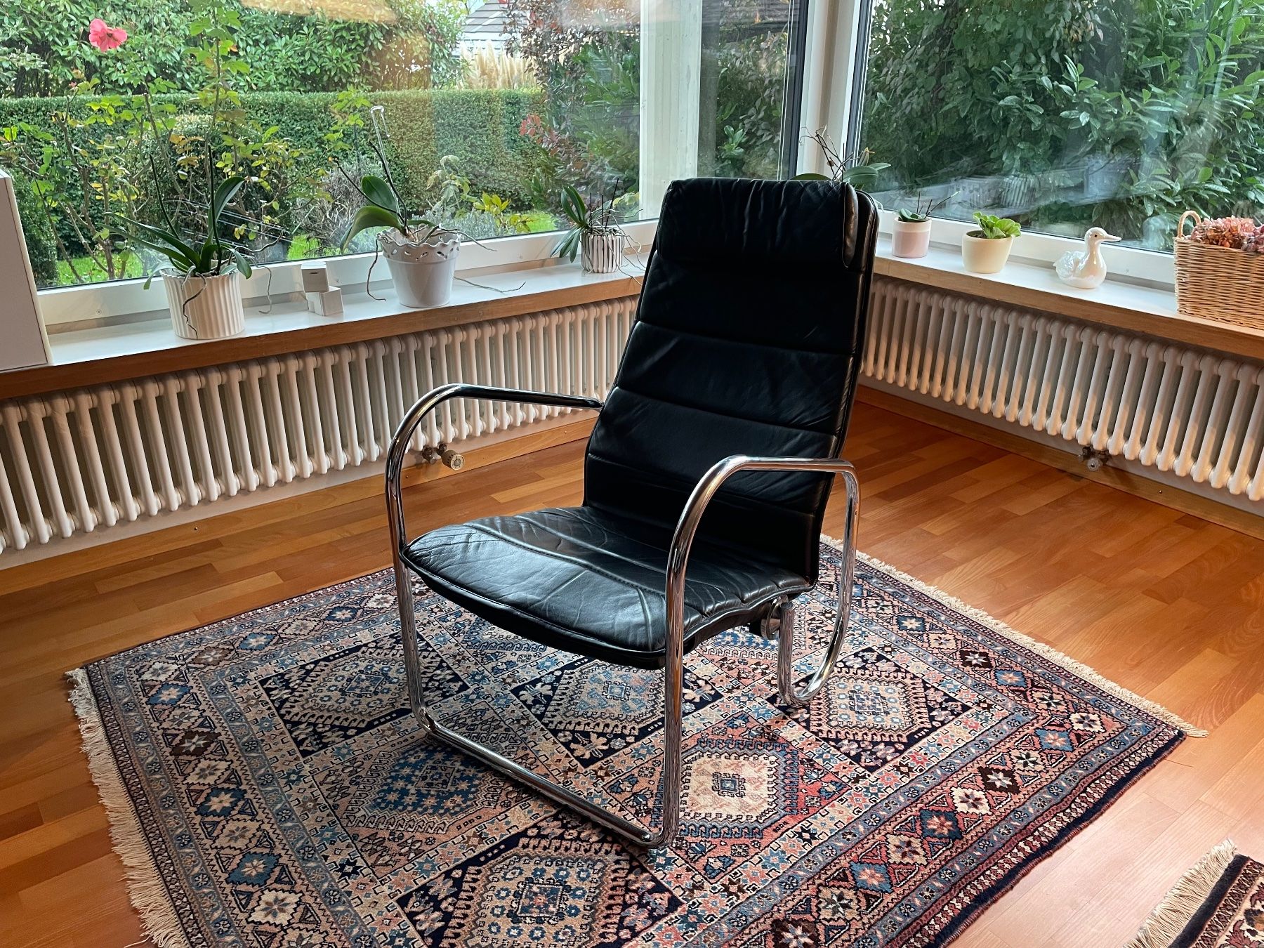 Poltrone: Ledersessel – Usato da Steinhausen venduto da pet_v85f 1