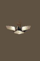 Lustre art deco signé (AP) Petitot