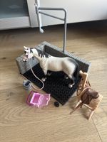 Schleich Pferdewäsche