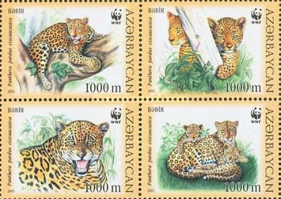 Alle Briefmarken: Aserbaidschan 2005 Endangered Species Leopard PANTER TIERE** – Neu (gemäss Beschreibung) aus Erlach von Schaliko