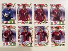 Panini Road to 2014 FIFA World Cup Brazil - Norge