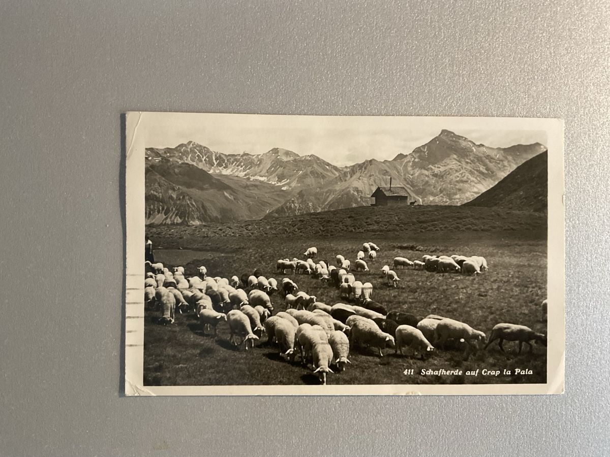 Cartoline: Schöne Flugkarte – Usato da Steinhausen venduto da Leo.1957
