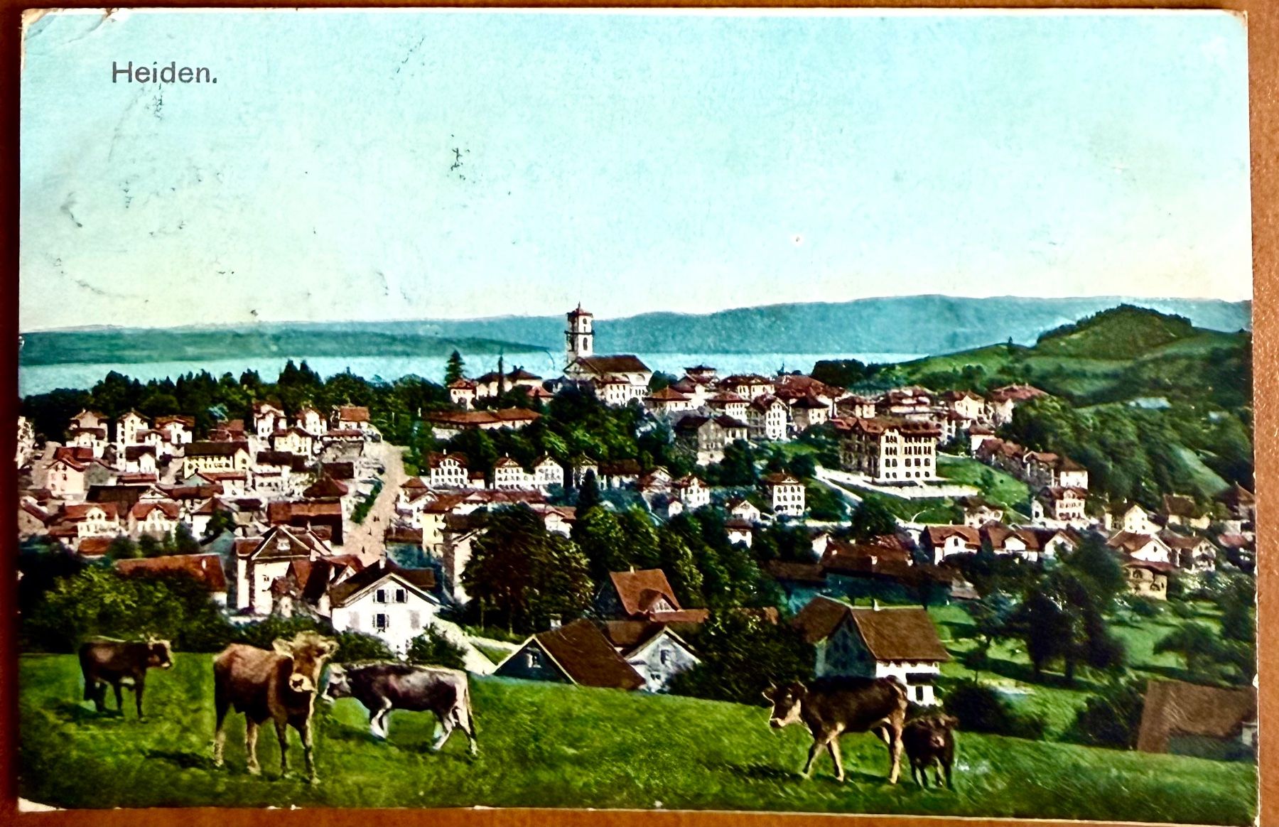Cartoline postali: Heiden - Kühe - 1907 – Usato da Lutry venduto da Ediego