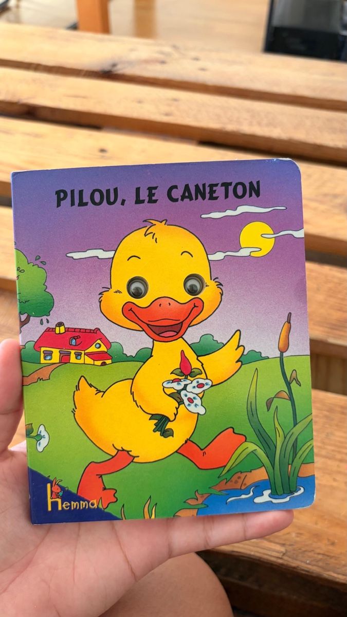Libri: Kinderbuch Pilou, le Caneton  – Usato da Birmensdorf ZH venduto da DinoC13