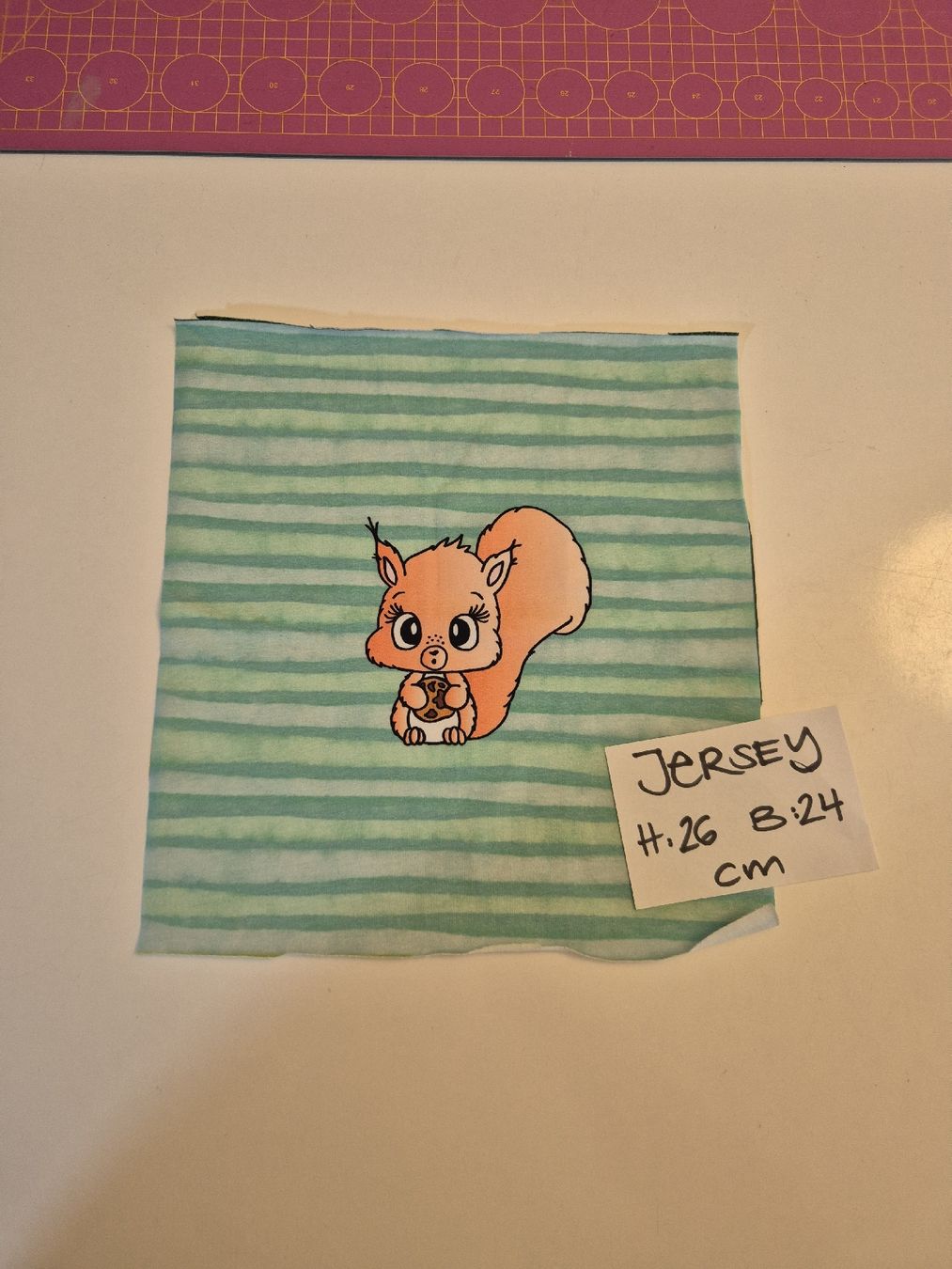 Tessuti: Jersey Stoff Panel 24x26cm zum nähen – Nuovo (secondo la descrizione) da Wynigen venduto da La_Talpa