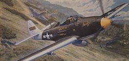 P-40 Warhawk "Sneeka" pittura militare aerei da guerra 