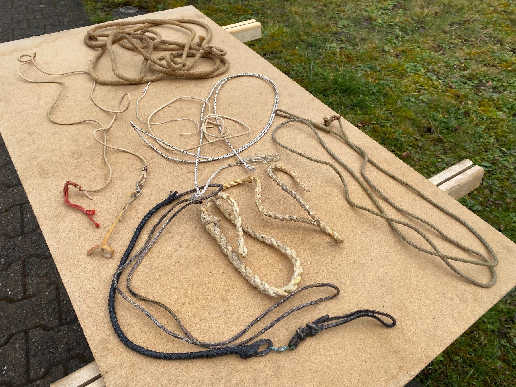 Campanacci mucche: schöne Geisselzwicke – Usato da Feldbach venduto da Fea1 6