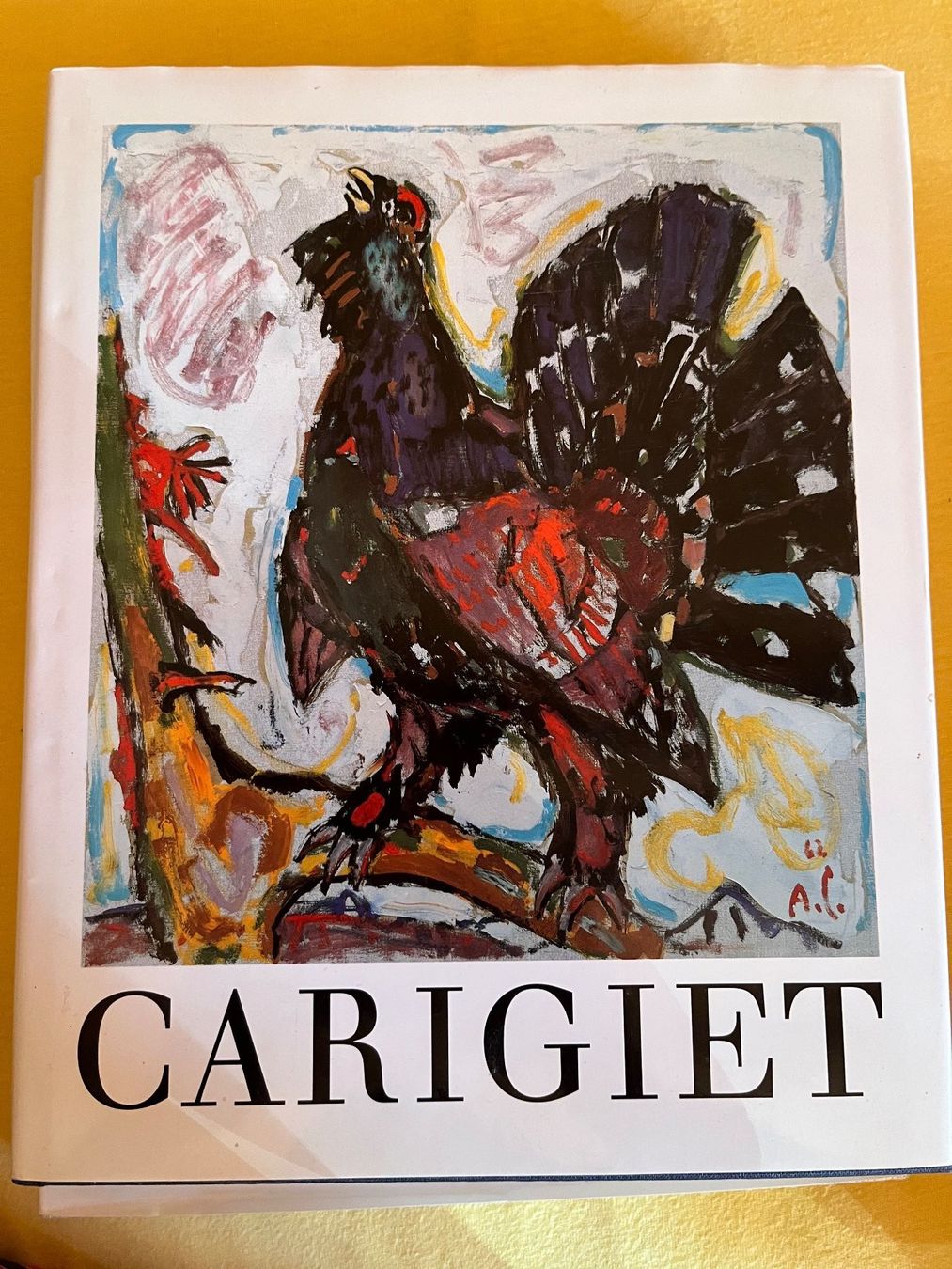 Libri: Alois Carigiet Buch – Usato da Zug venduto da Christina7