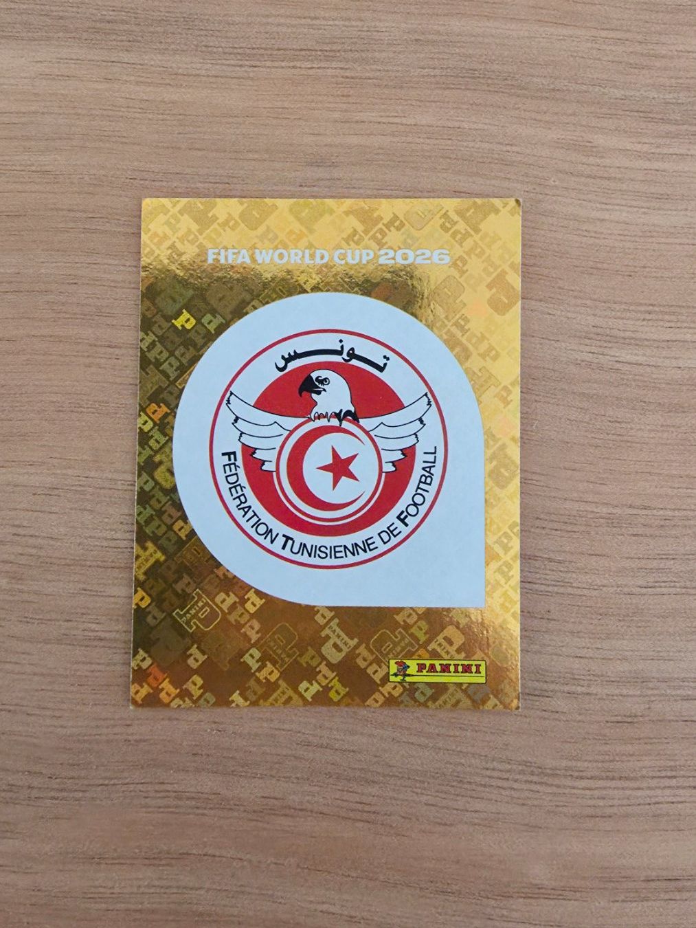 Panini Carte collezionabili: Panini Fifa TUN 1 – Usato da Malters venduto da mat_6102