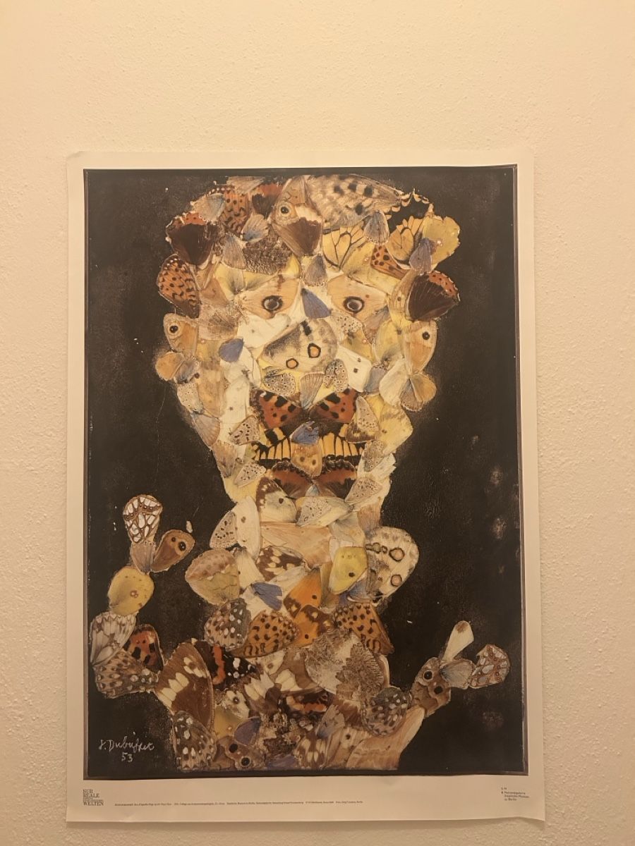 Foto & Immagini: Poster – Usato da Bern venduto da aev_lg7w