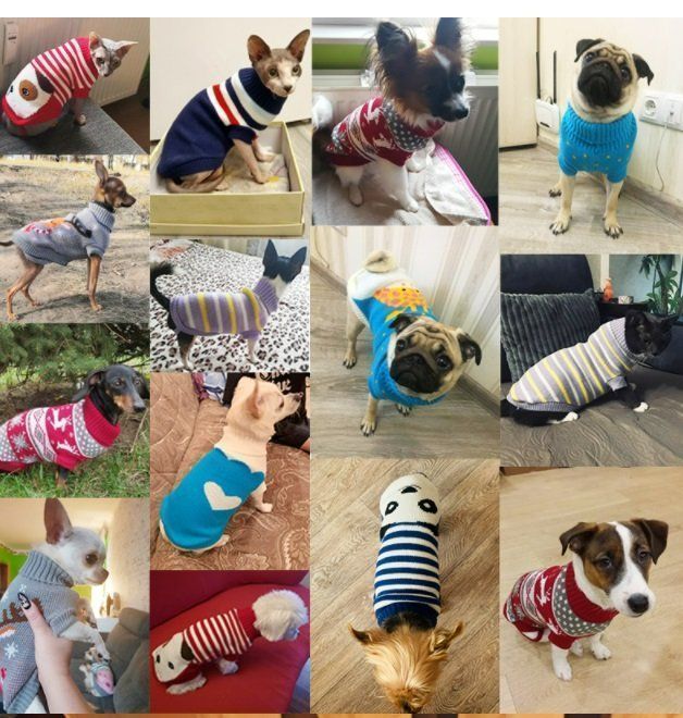 Abbigliamento: Hundemantel Hundepullover – Nuovo e nell'imballaggio originale da Uerkheim venduto da Kaufoption 1