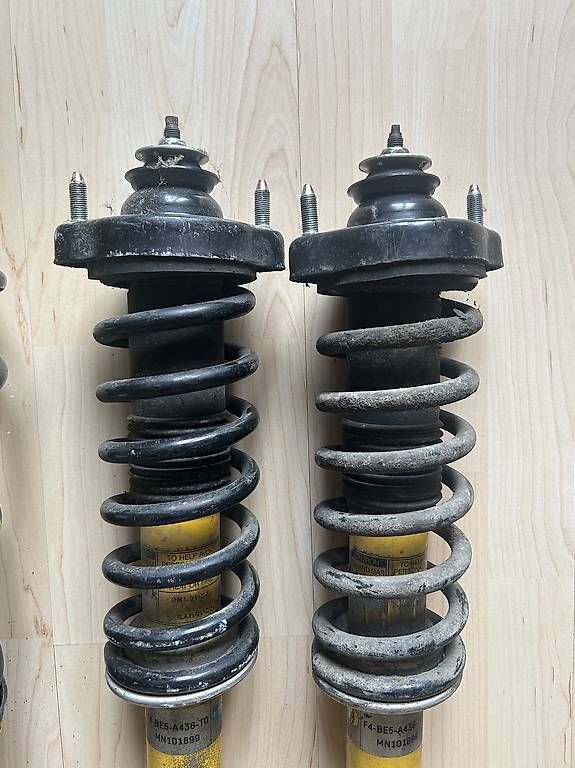 Il mondo degli animali: Amortisseurs Bilstein Lancer EVO 7 8 9 – Usato da Cernier venduto da eliasi2706 4