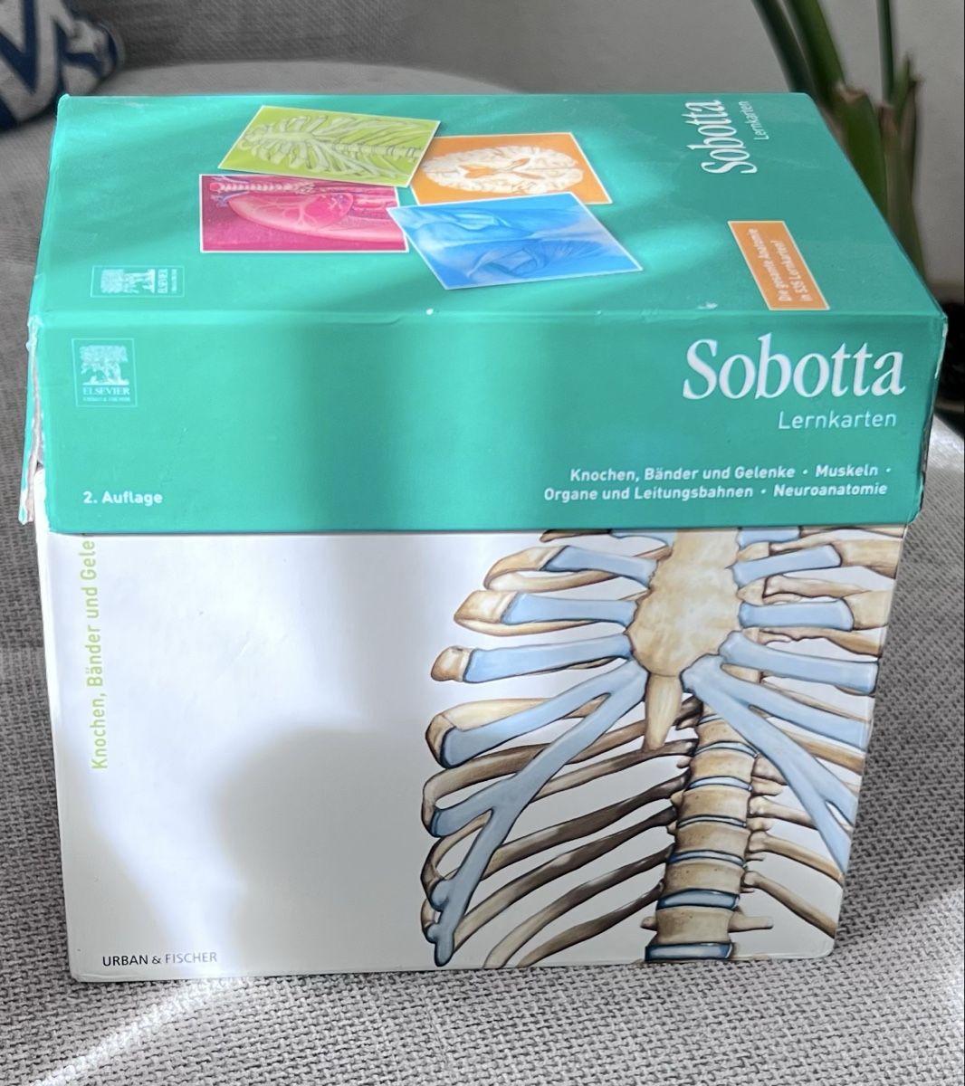 Sonstiger Schulbedarf: Sobotta Lernkarten Anatomie  – Gebraucht aus Zollikofen von FFD.