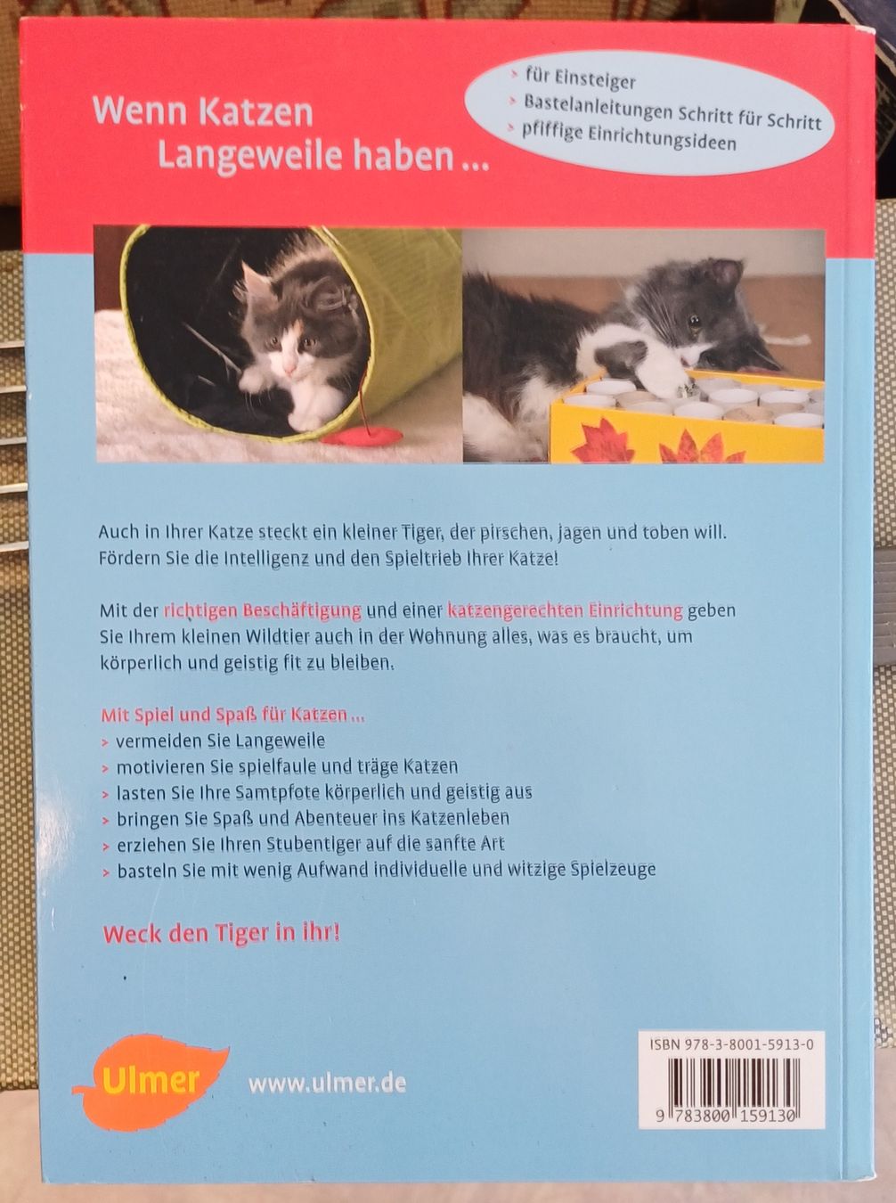 Bücher: 6 Bücher über Katzen – Gebraucht aus Merenschwand von Brockinell 1