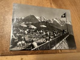Schynige Platte,Rest.Terrasse, Touristen