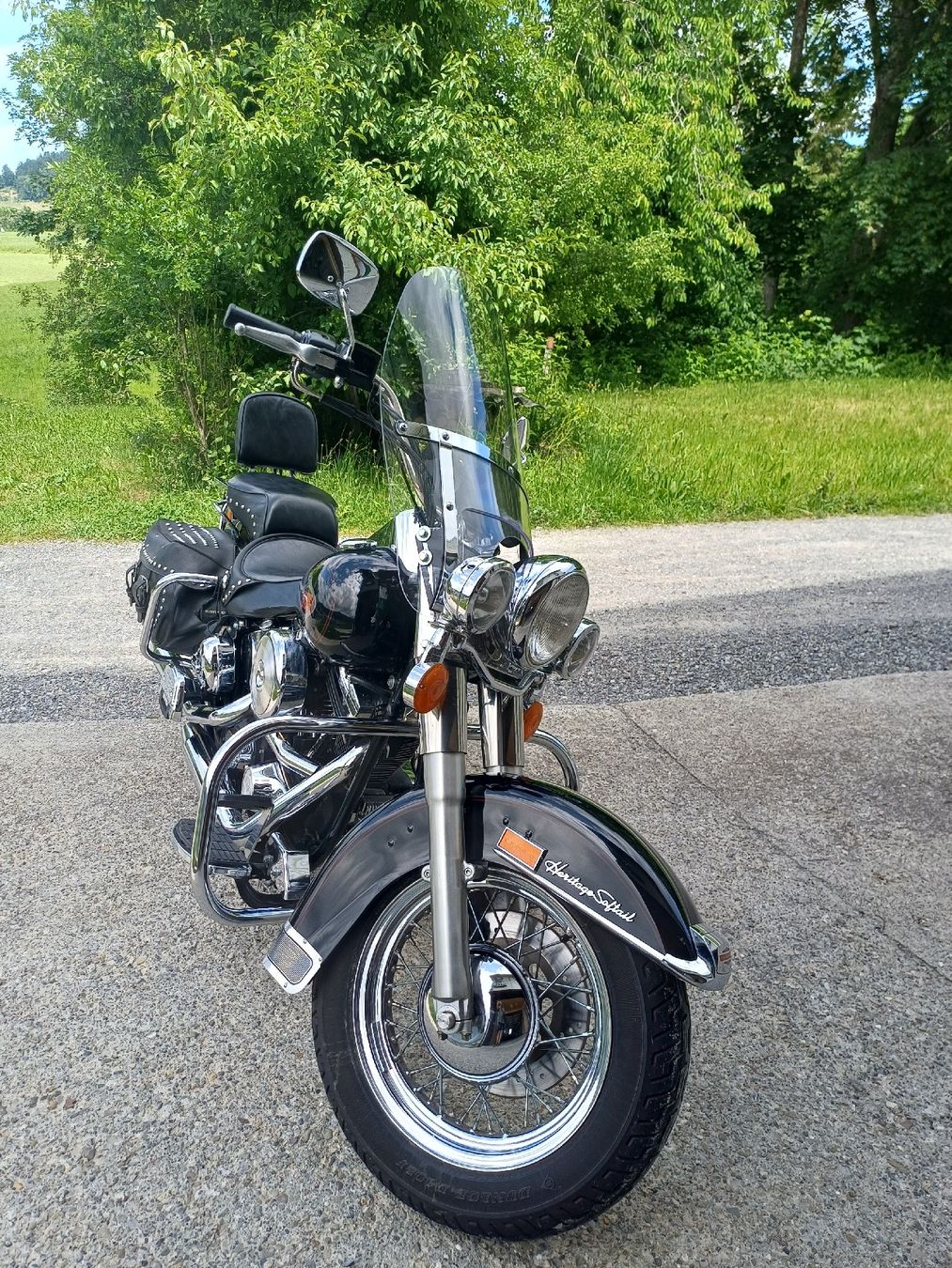 Harley-Davidson Chopper: Harley Davidson Softail – Usato da Appenzell venduto da hha_dl79 1