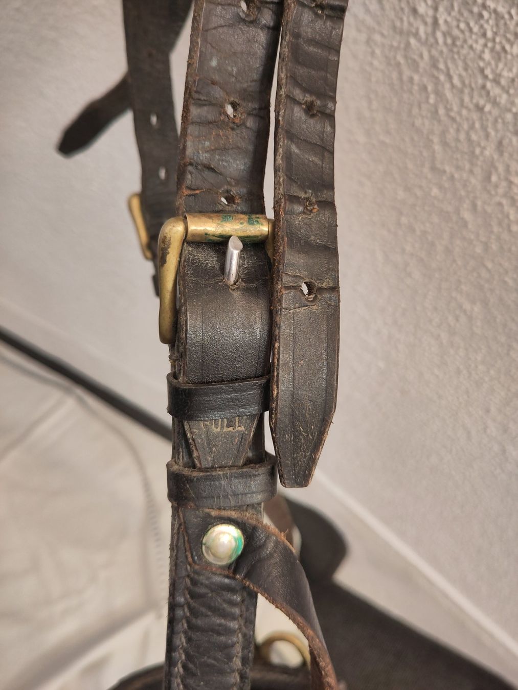 Zaumzeug & Halfter: Kappzaum Leder mit Bronzeelementen – Full – Gebraucht aus Zürich von Bischosa 6
