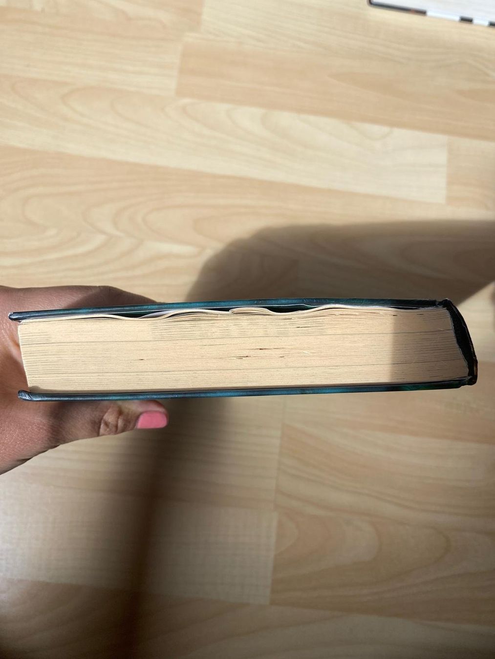 Bücher: Internat der Bösen Tiere Die Prüfung – Gebraucht aus Deitingen von Koala-2024 1