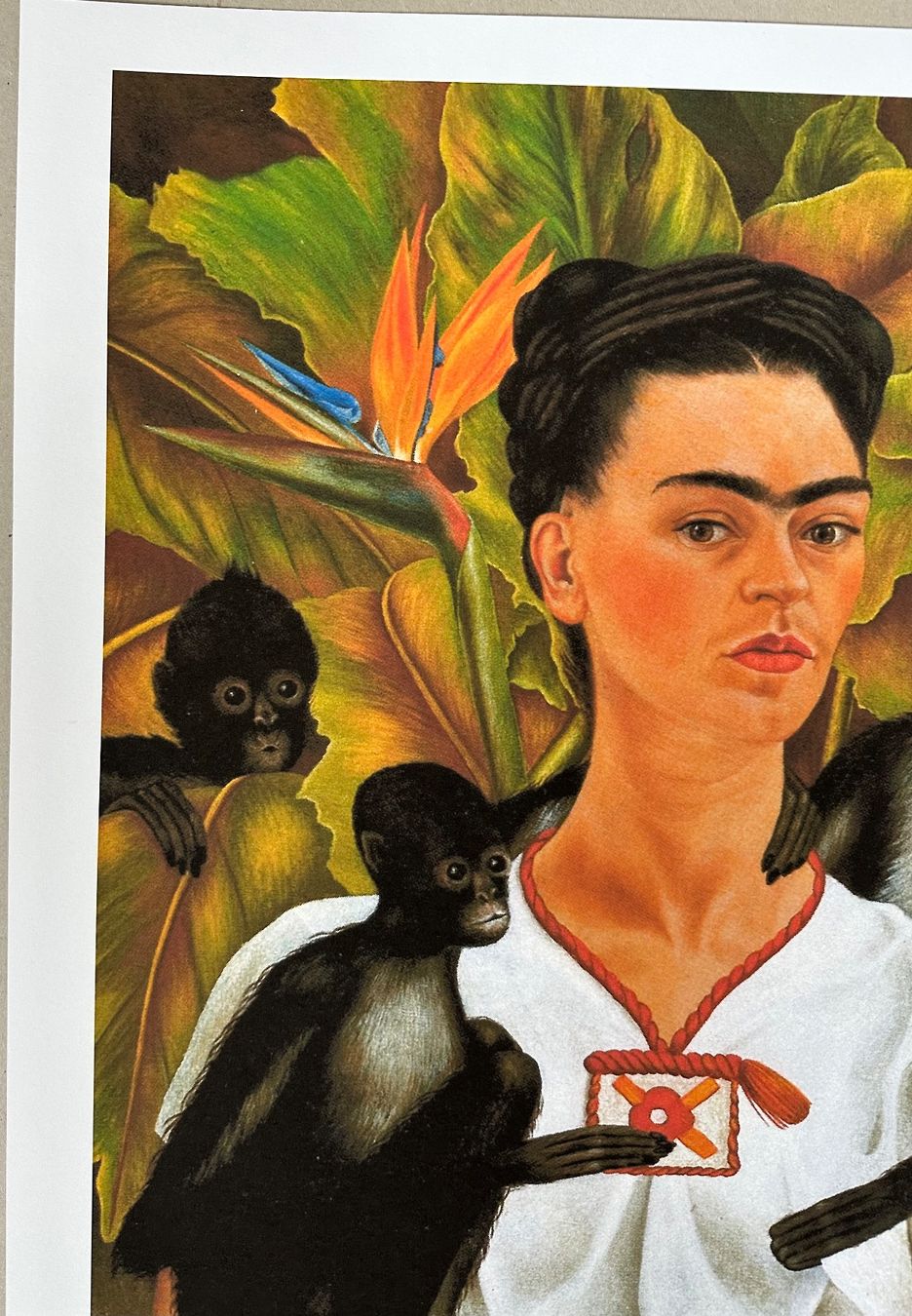 Poster & Bilder: Frida Kahlo: Self Portrait with Monkeys – Neu (gemäss Beschreibung) aus Meilen von  3