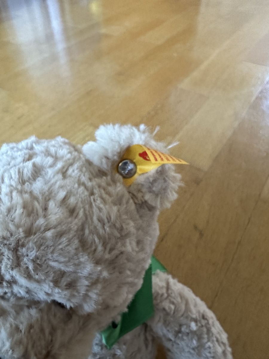 Steiff Spielzeuge: Steiff Teddy Glück  – Gebraucht aus Bern von Ruhrallee 1
