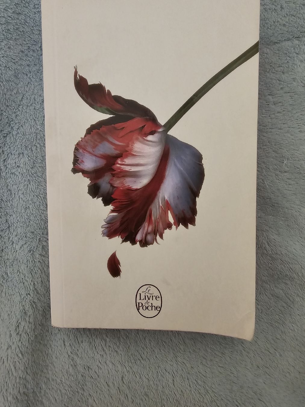 Libri: Tentation de Stéphanie Meyer  – Usato da Martigny venduto da fau_678l