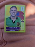 Panini WM 2026 ECU 3 Valle