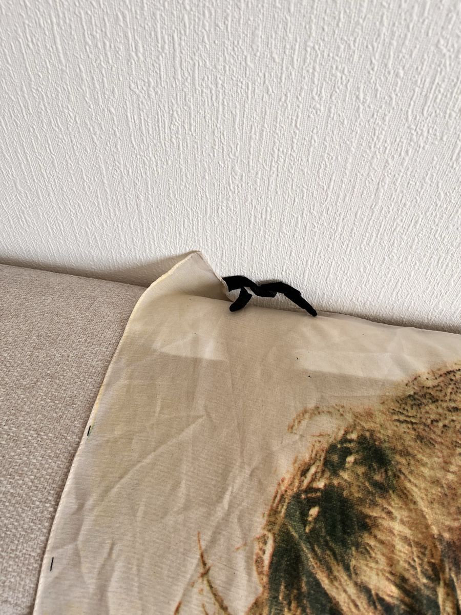 Tutte le decorazioni: 90s Rare Jim Morrison Tapestry Wall Hanging – Usato da Lausanne venduto da Danash 2