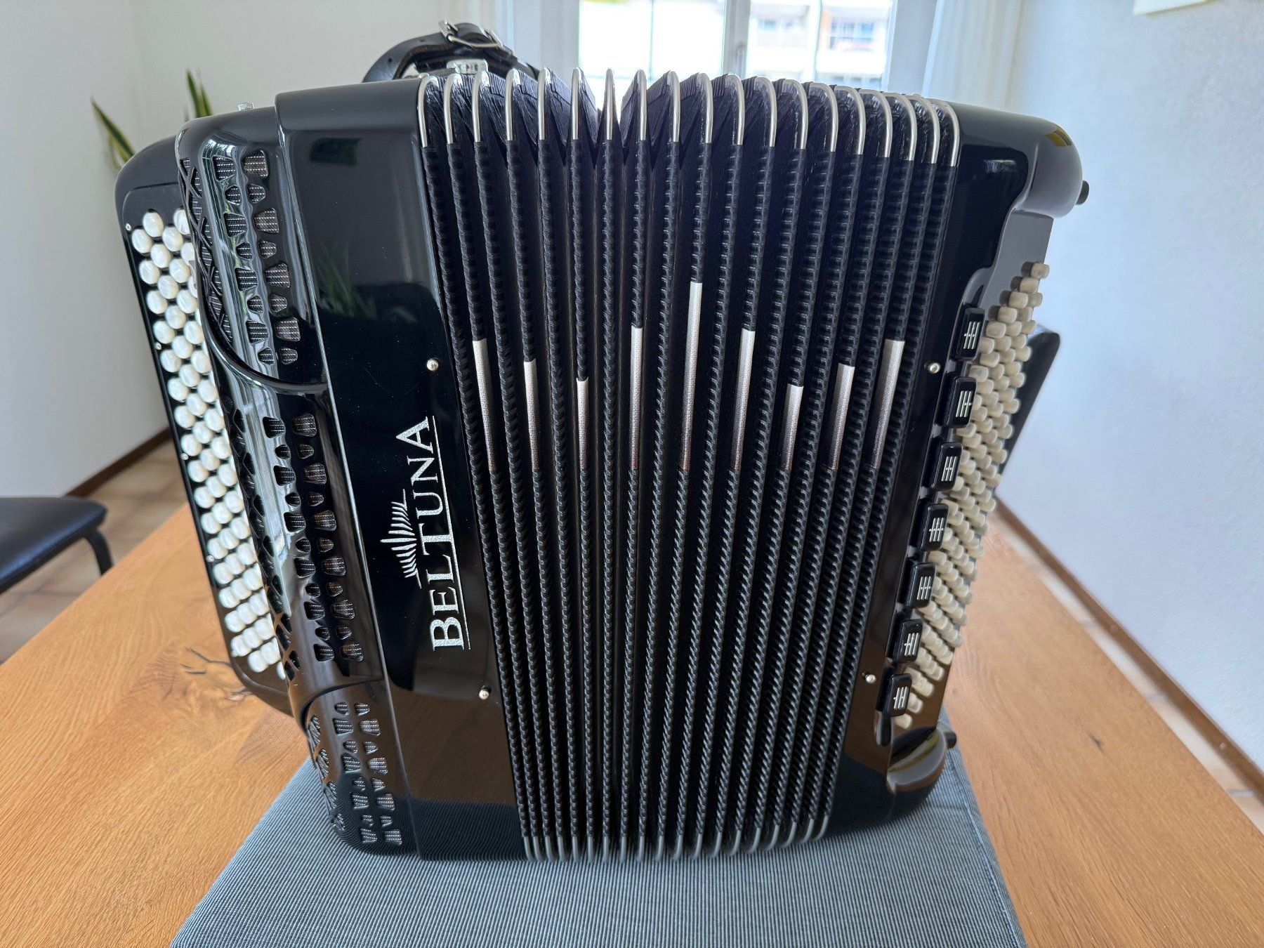 Beltuna Strumenti musicali: Akkordeon Beltuna Prestige Plus 3050 GHV – Usato da Endingen venduto da Spicki01 1