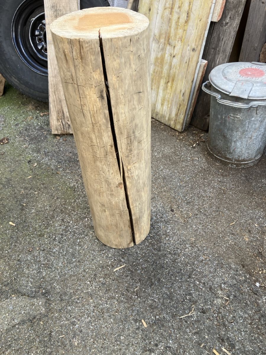 Holzartikel: Holzstamm – Gebraucht aus Burg AG von ala_cx8x