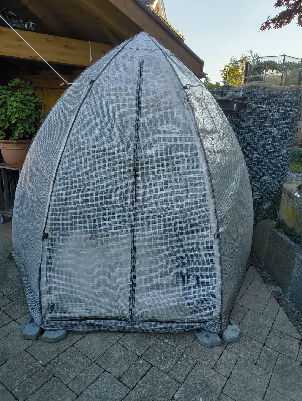 Casette da giardino & serre: Überwinterungs Zelt  – Usato da Flawil venduto da elenor05