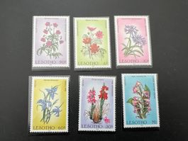 Lesotho  Orchideen/Blumen 1985     ** (5136)