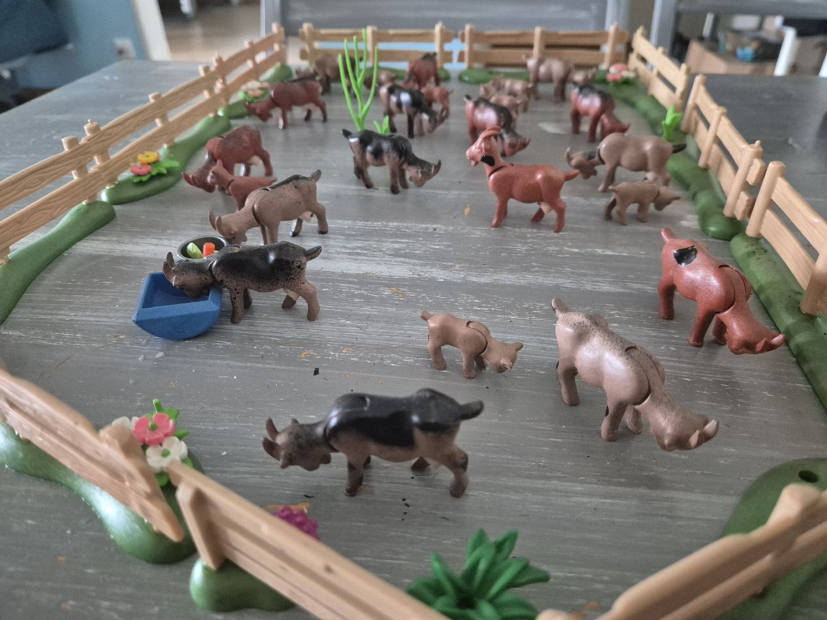 Playmobil Giocattoli: Ziegen mit Weide und Jungtiere – Usato da Fahrweid venduto da Fischwasser6 1
