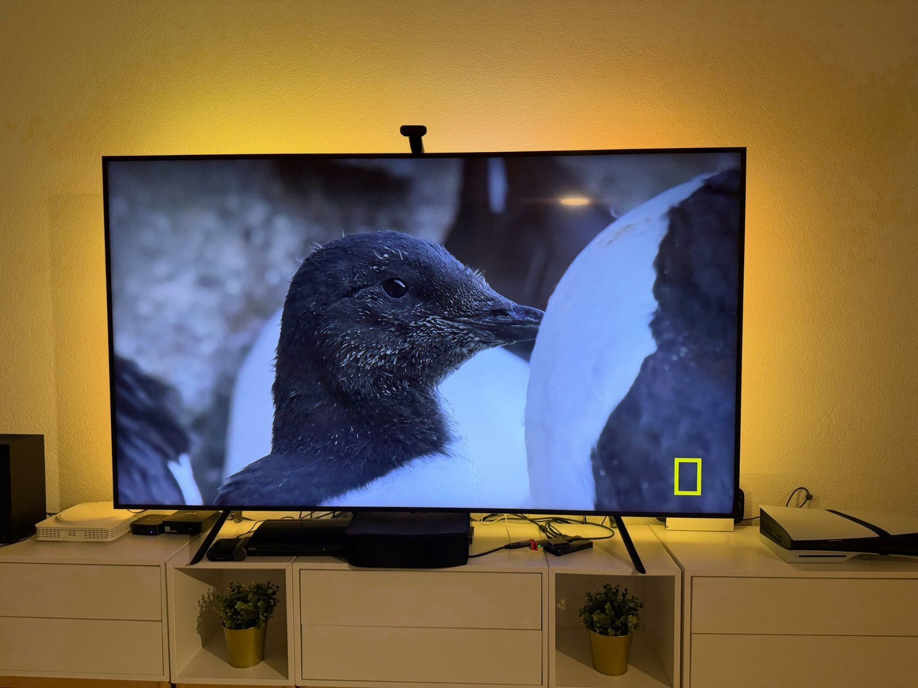 Samsung Televisori: Samsung 4K QLED 82″ – Usato da Zürich venduto da mar_bg9h 1