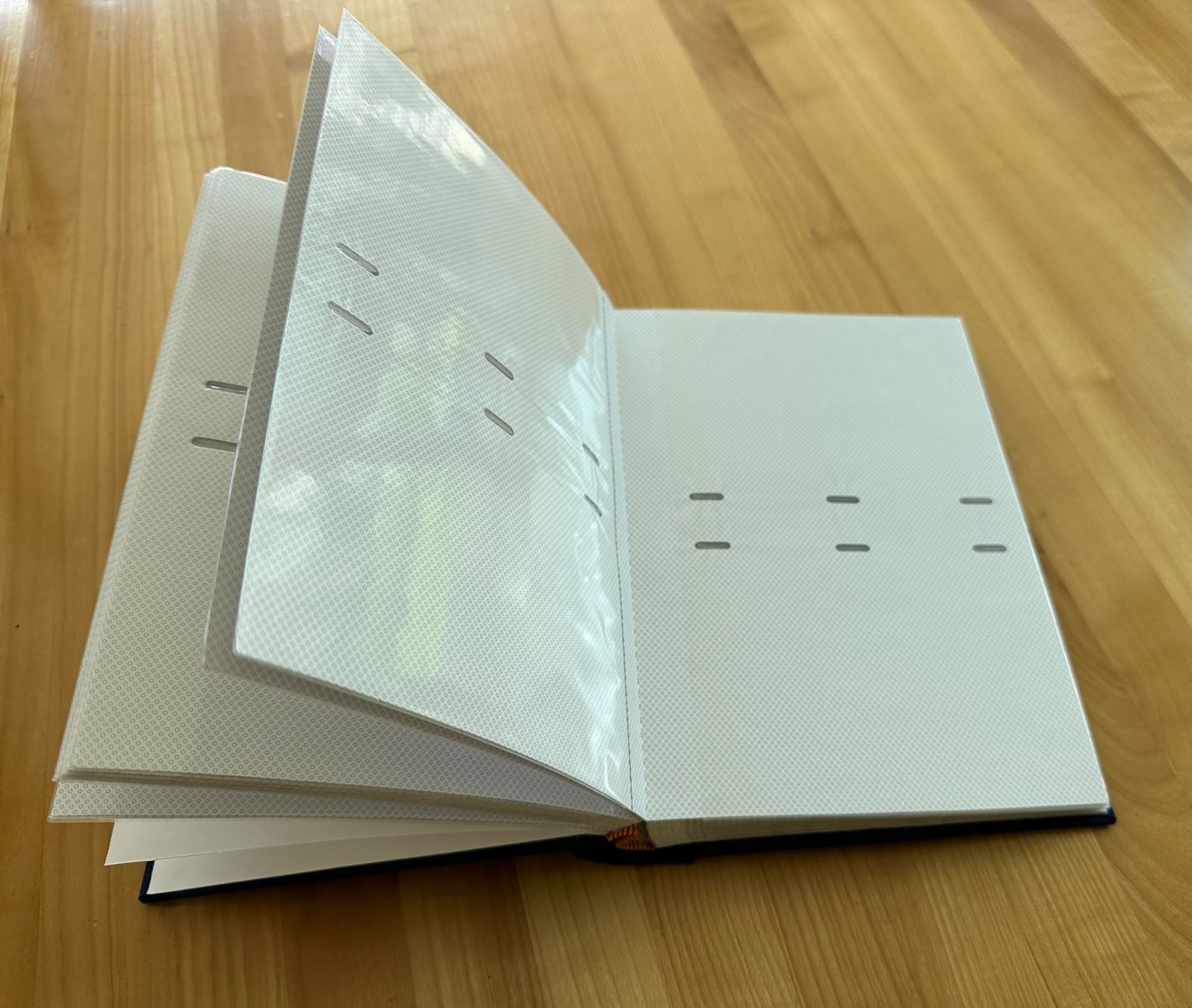 Album: Fotoalbum Einsteckalbum – Nuovo (secondo la descrizione) da Zürich venduto da ruedigg 1