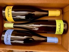 Gantenbein 2018: 1x Pinot, 1x Chardonnay, 1x Riesling..