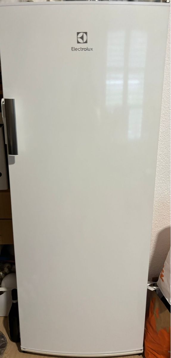 Electrolux Frigoriferi: Electrolux Kühlschrank - Top Zustand – Usato da Reichenburg venduto da ang_86s5