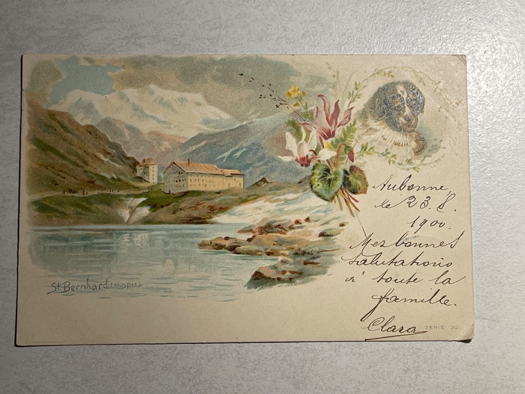 Cartoline postali: Alte Ansichtskarte St. Bernhard, 1900 – Usato da Strengelbach venduto da Aschatan5