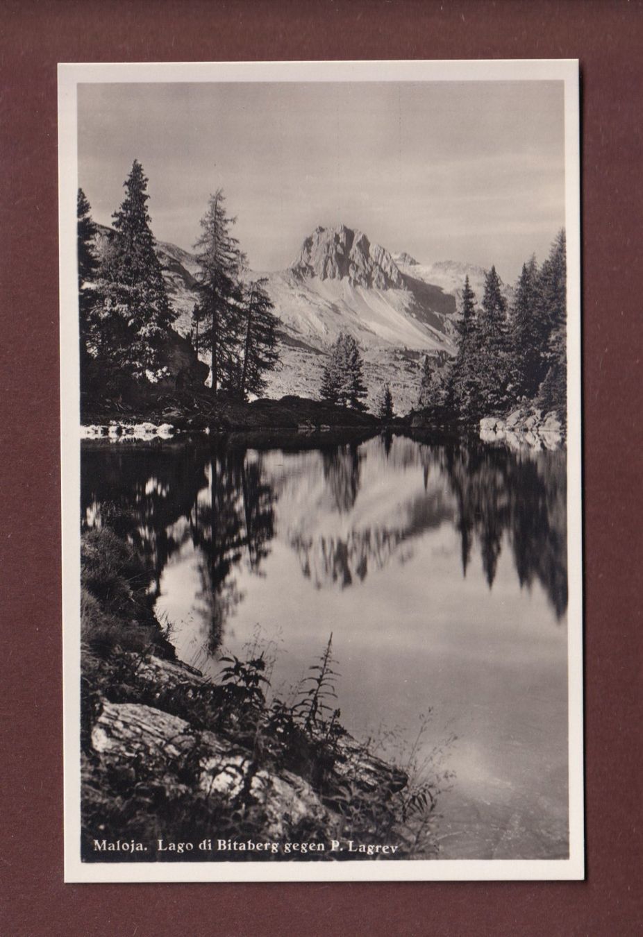 Ansichtskarten: MALOJA - Lago di Bitaberg – Gebraucht aus Pully von nicecards-shop