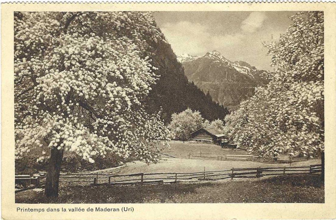 Cartoline postali: Printemps dans la vallée de Maderan Uri 1931 – Usato da Brenles venduto da hello1063
