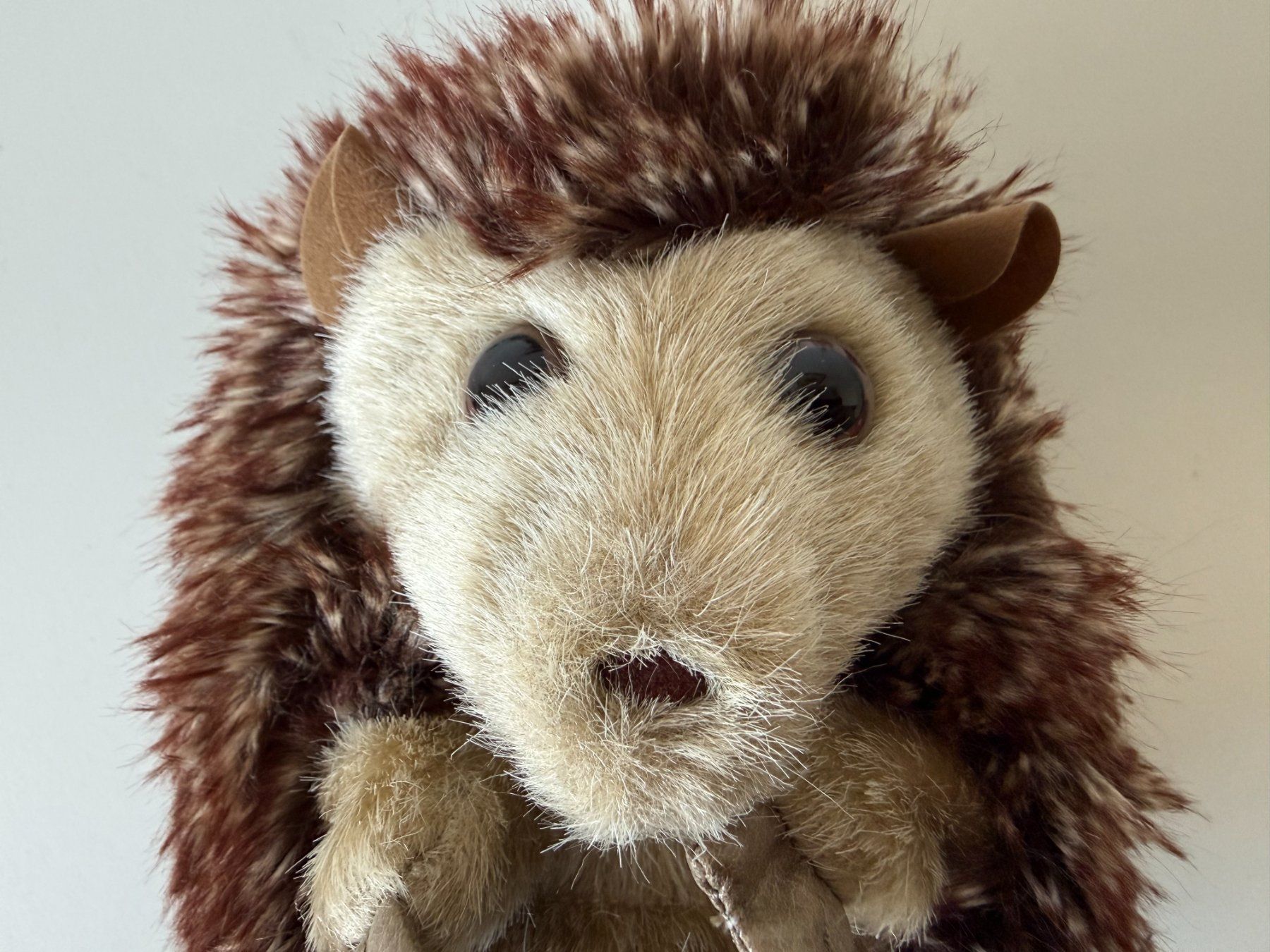 Giocattoli: Folkmanis Handpuppe Igel - 18 cm – Usato da Winterthur venduto da brittalili 7