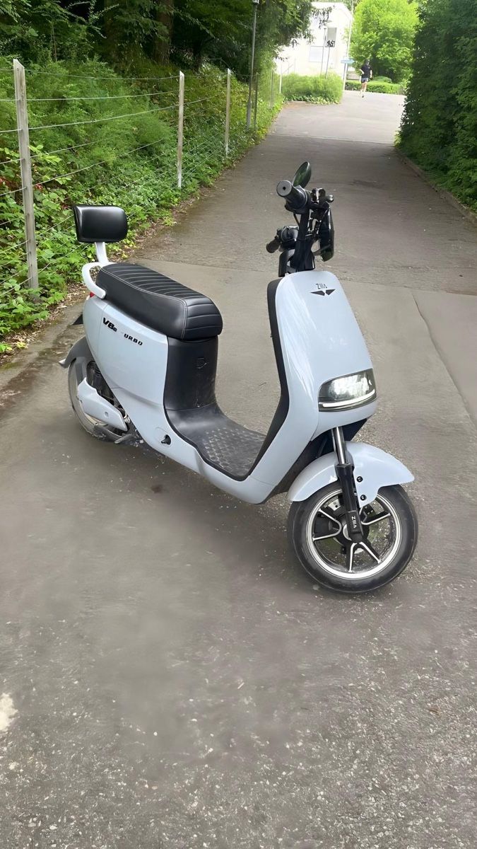 Scooters: E- Roller Zilla Loki – D'occasion à Zürich par fulma 1