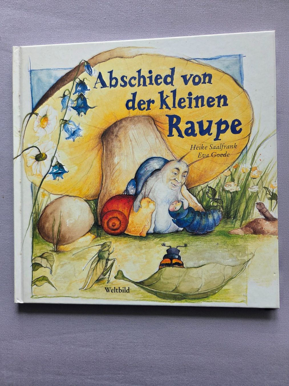 Libri: Abschied von der kleinen Raupe – Usato da Münsingen venduto da Sokilein