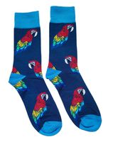 Socken Papageien / Parrots