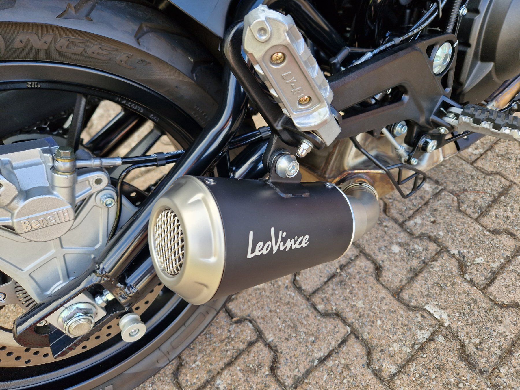 Benelli Strada: BENELLI  LEONCINO  500 – Usato da Wünnewil venduto da 1509mani 7