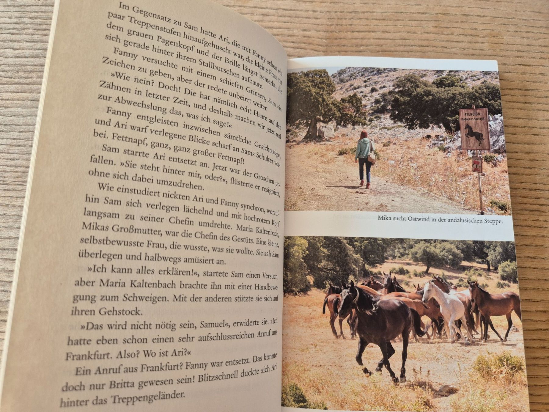 Bücher: Ostwind Aris Ankunft – Neu (gemäss Beschreibung) aus Bourguillon von sibzoy 2