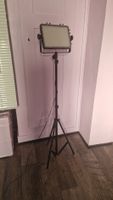 Dörr LED DLP-600 Lampe
