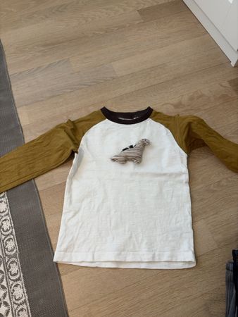 Shirt mit Dino für 3-4 jährige
