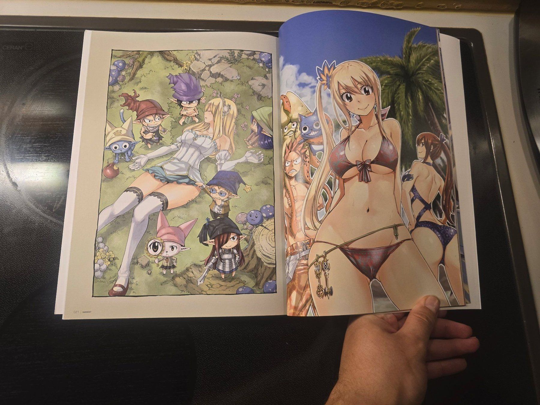 Comics: Fairy Tail Artbook – Gebraucht aus Schaffhausen von K.Ichimaru 2