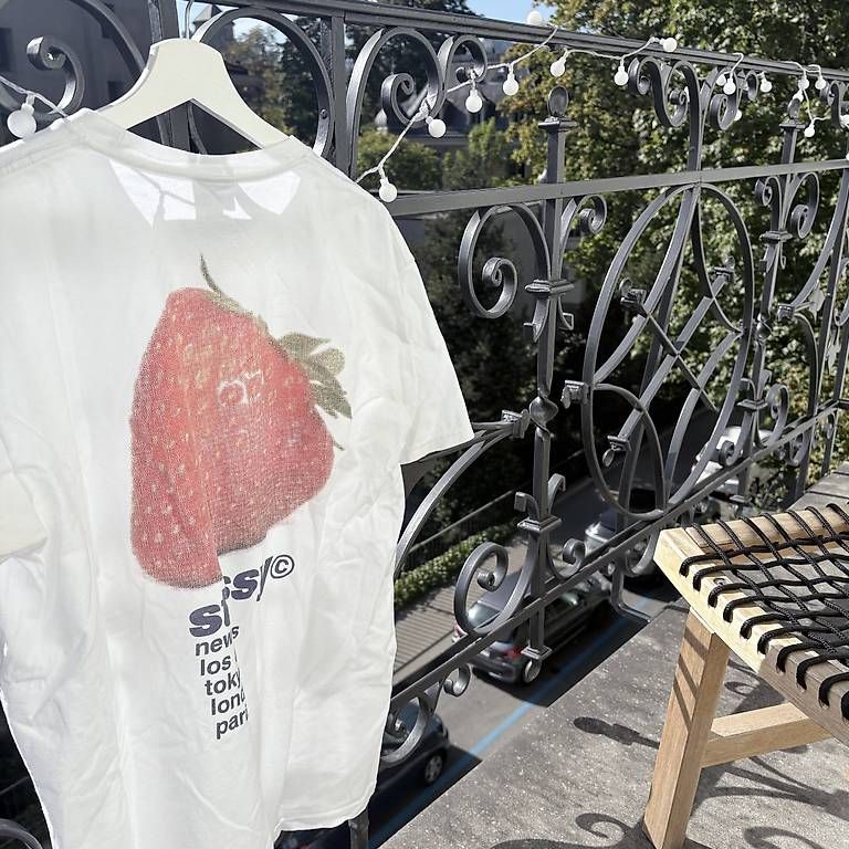 Stüssy T-shirt: Stüssy T-shirt – Usato da St. Gallen venduto da man_72f2 1